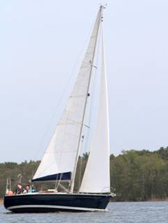 IMG_8911-1.jpg