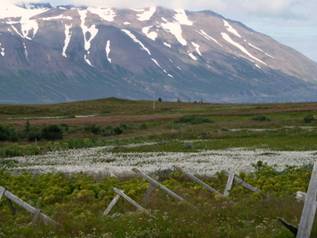 P1110087.JPG