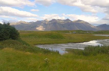 20140811_145941.jpg
