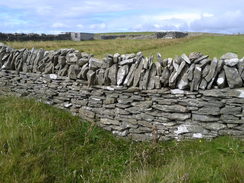 20140823_115423.jpg