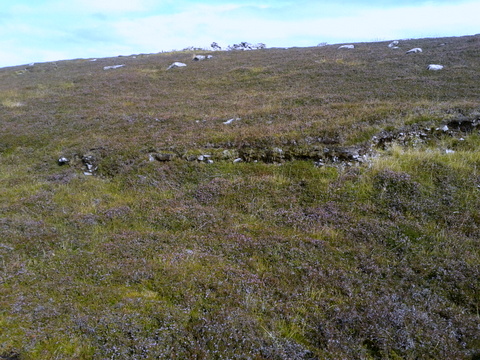 20140823_112712.jpg