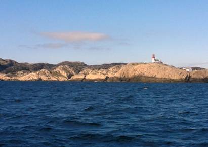 20140827_172956.jpg