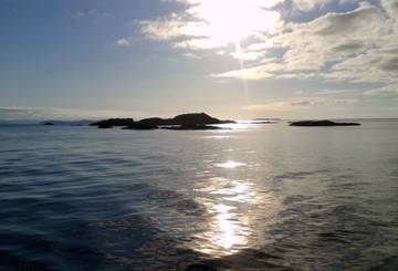 20140828_082030.jpg