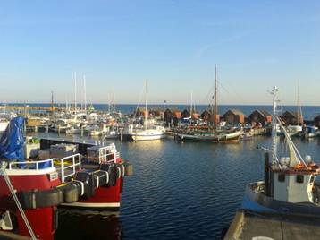 20140906_182305.jpg