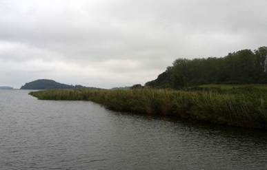 20140913_100504.jpg