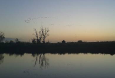 20140927_065303.jpg