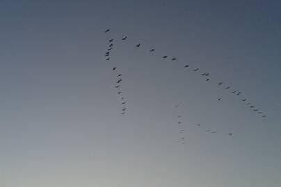 20140927_065520.jpg