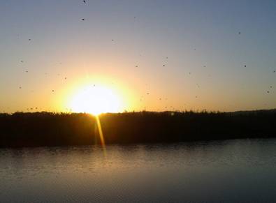 20140927_071106.jpg