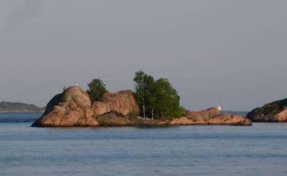 P1090561.JPG