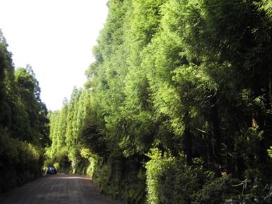 DSCI0787.JPG