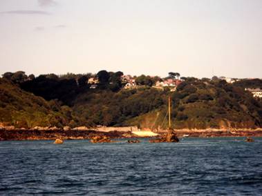 DSCI1642.JPG