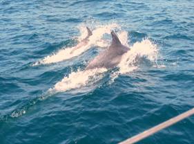 image005.jpg