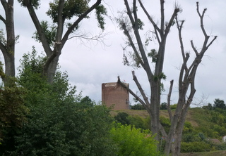 P1080362.JPG