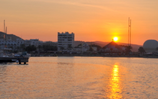 DSC_4520.JPG