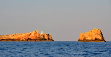 DSC_4534.JPG