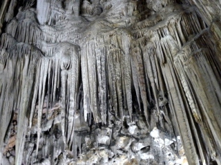 P1070168.JPG
