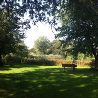 Parklein am Weicherchen